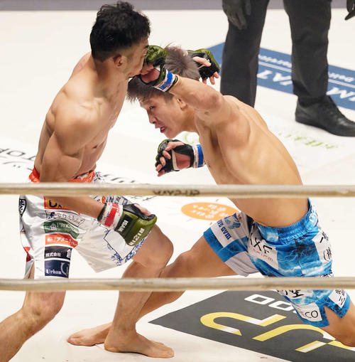 中村優作対竿本樹生　1回、中村（左）の顔面にパンチを決めKO勝ちする竿本（撮影・江口和貴）