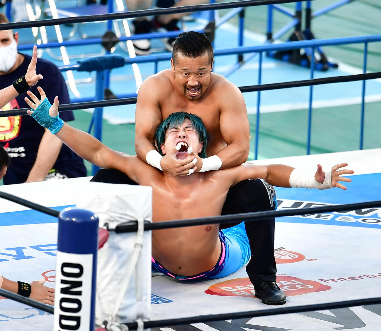 ワト（下）をキャメルクラッチで攻める金丸（撮影・小沢裕）