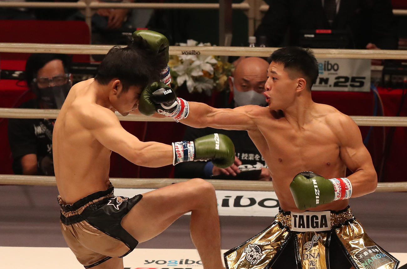RIZIN.25　第5試合、大雅対山畑雄摩　1R、山畑雄摩（左）にパンチを浴びせる大雅（撮影・白石智彦）