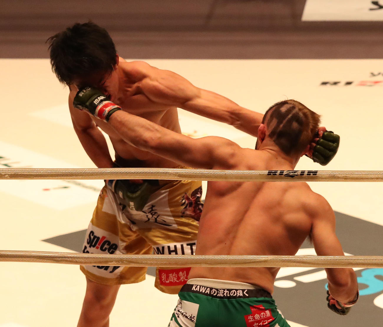 RIZIN.25　第9試合、扇久保博正対滝沢謙太　3R、滝沢謙太（左）にパンチを浴びせる扇久保博正（撮影・白石智彦）