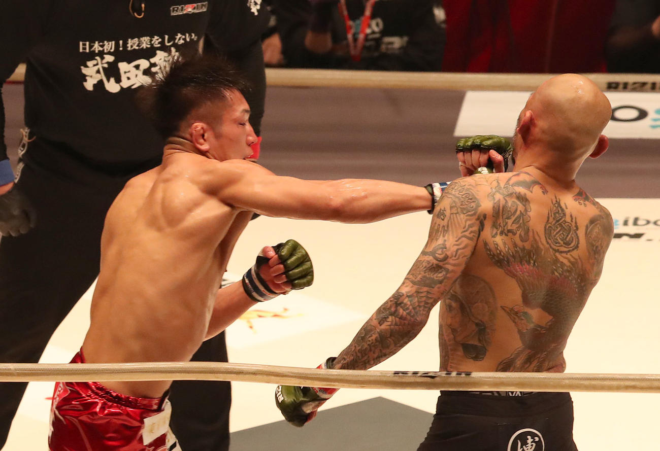 RIZIN.25　第3試合、朴光哲対白川陸斗3R、朴光哲（右）にパンチを浴びせる白川陸斗（撮影・白石智彦）