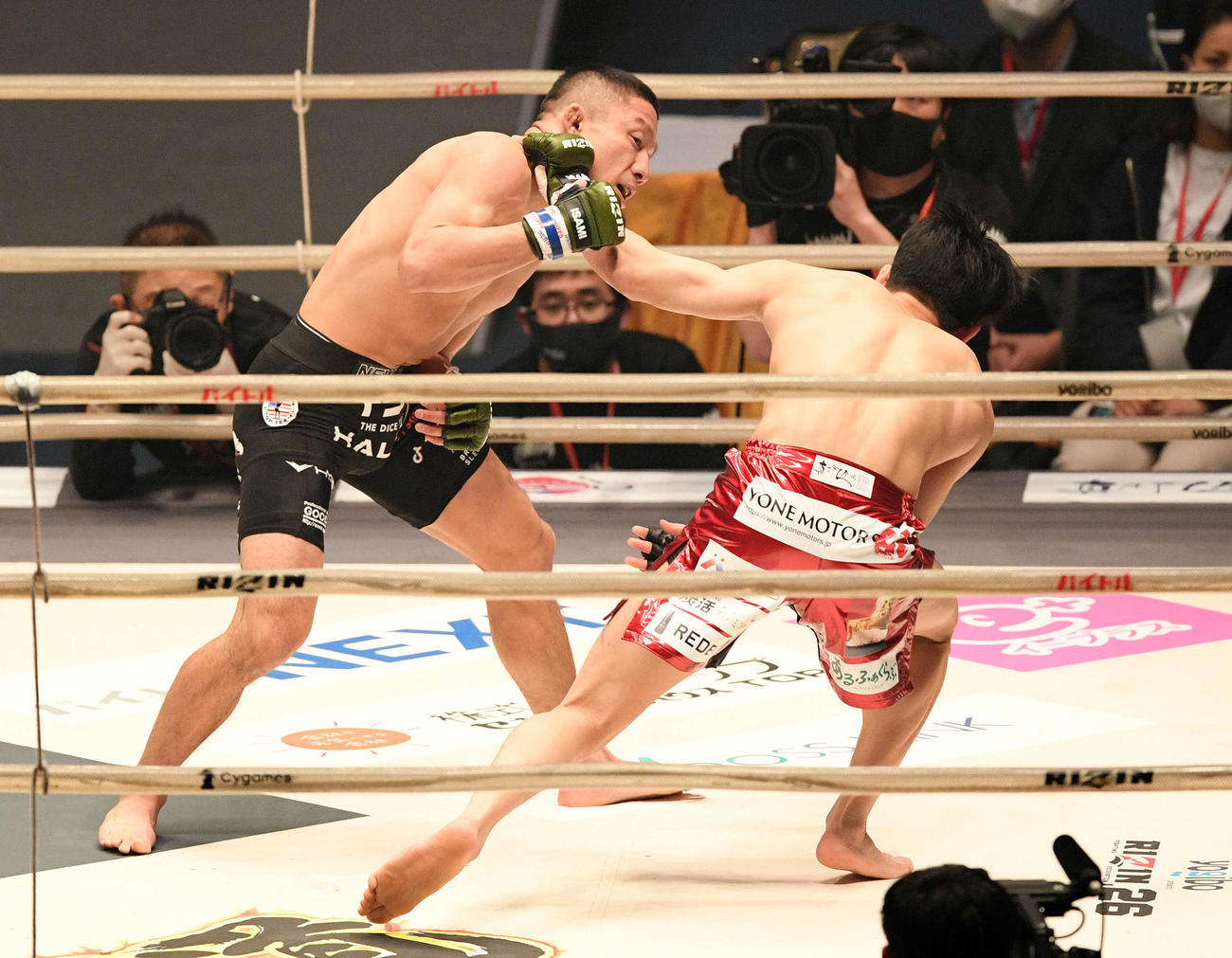 1回、朝倉海（右）をパンチで倒す堀口（撮影・滝沢徹郎）