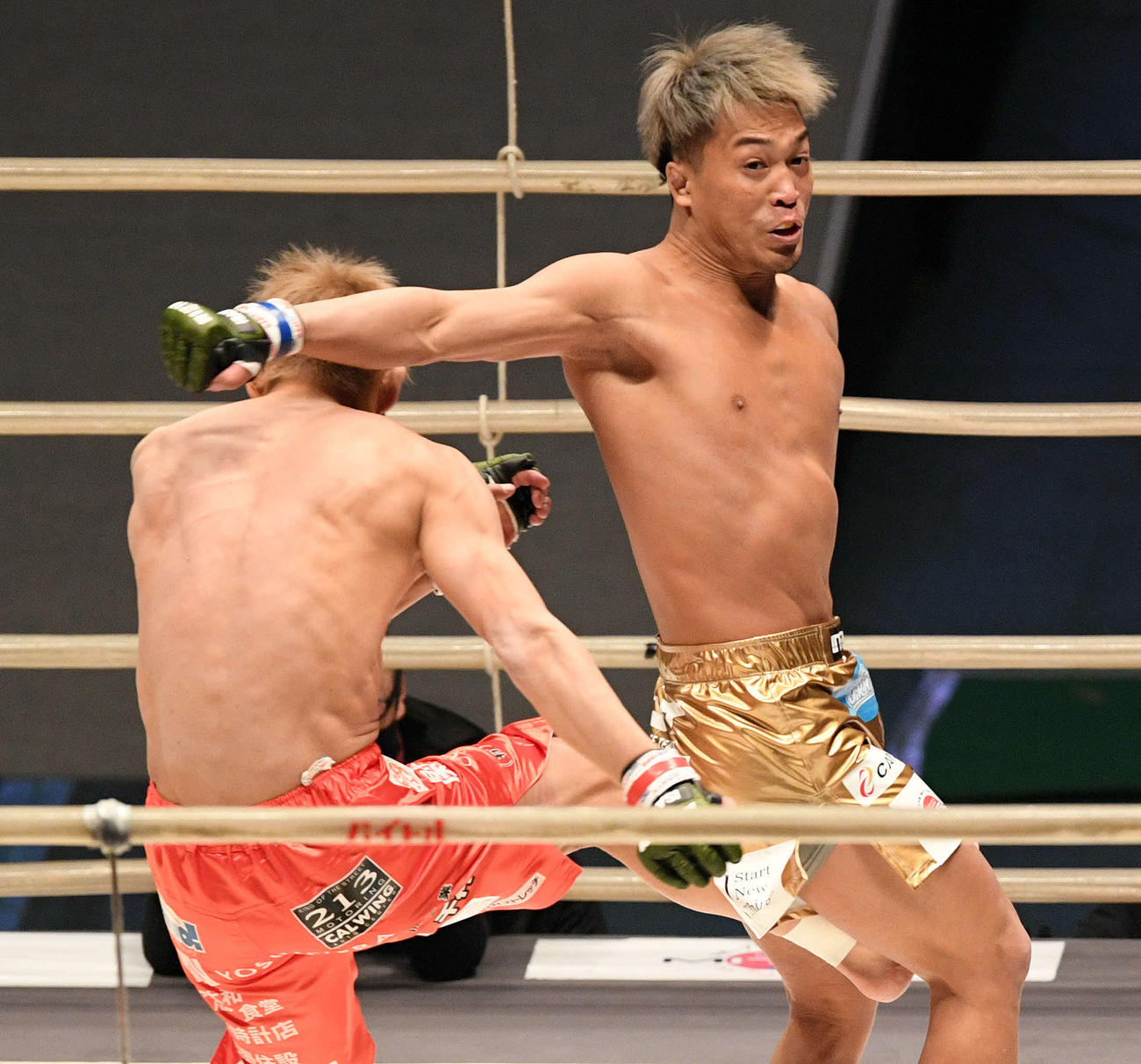 1回、所（左）にバックハンドブローを見舞う太田（撮影・滝沢徹郎）