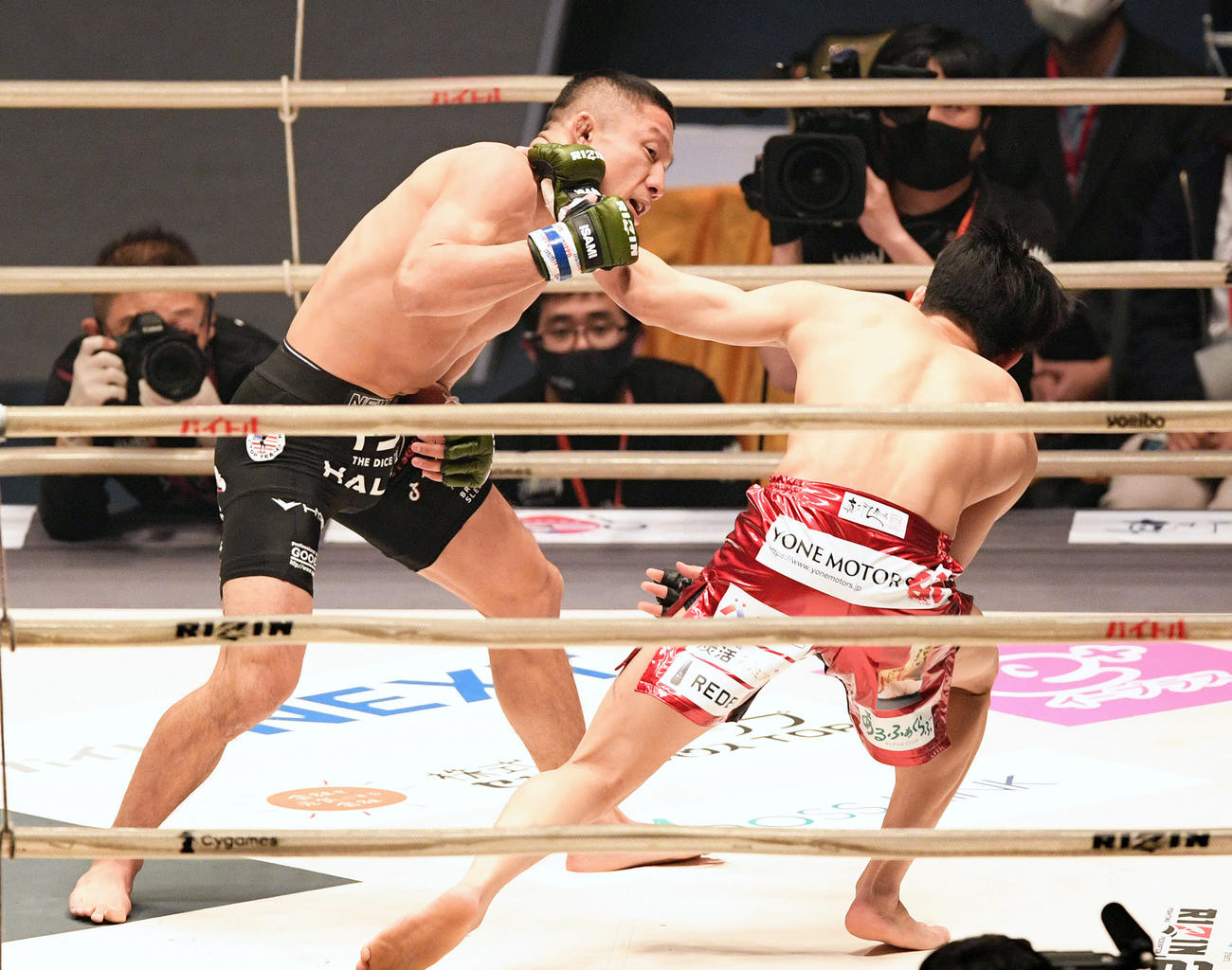 1回、朝倉海（右）をパンチで倒す堀口（撮影・滝沢徹郎）