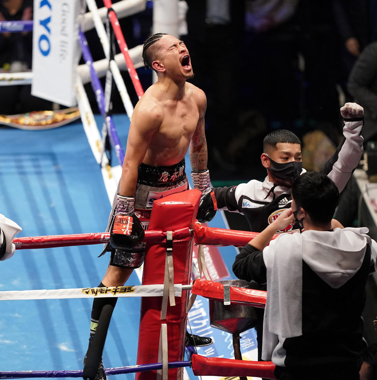 8回、田中恒成（手前）をTKОで破り、雄たけびを上げる井岡一翔（撮影・菅敏）
