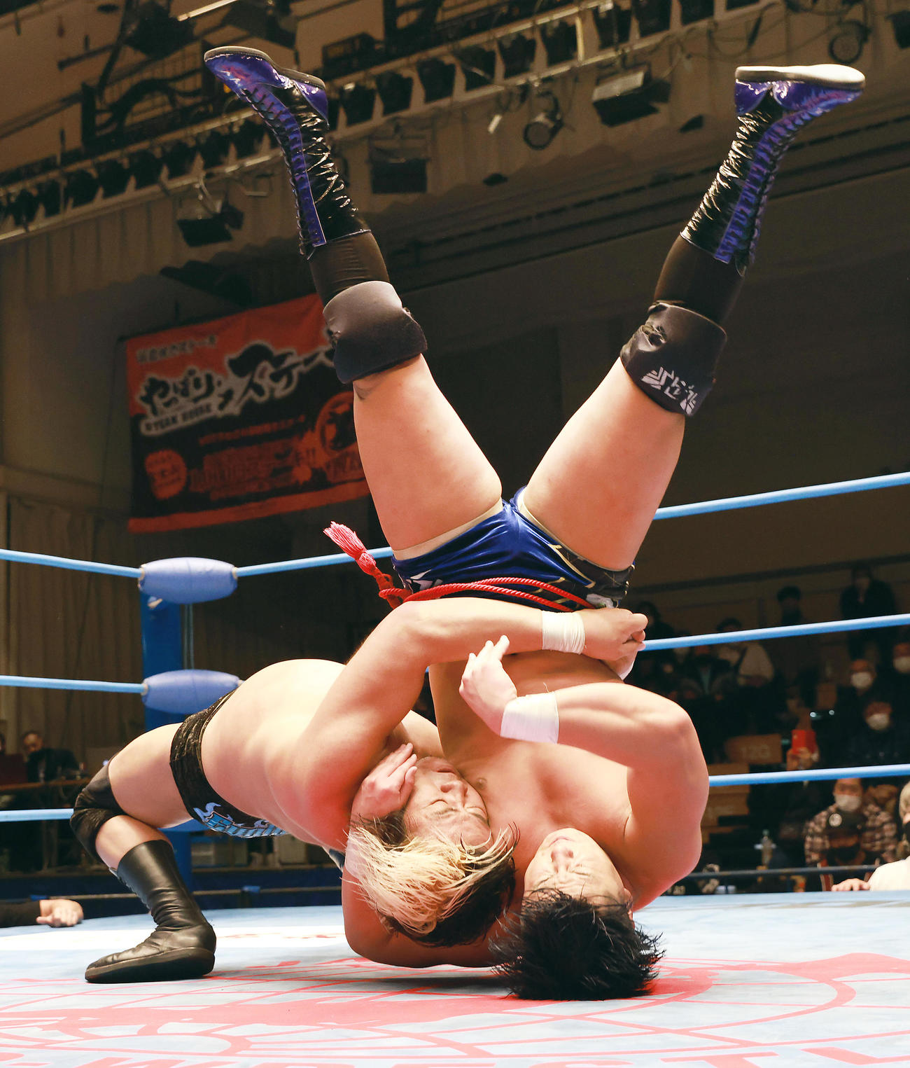 青柳（右）にフィニッシュのバックドロップを決める諏訪魔（撮影・中島郁夫）