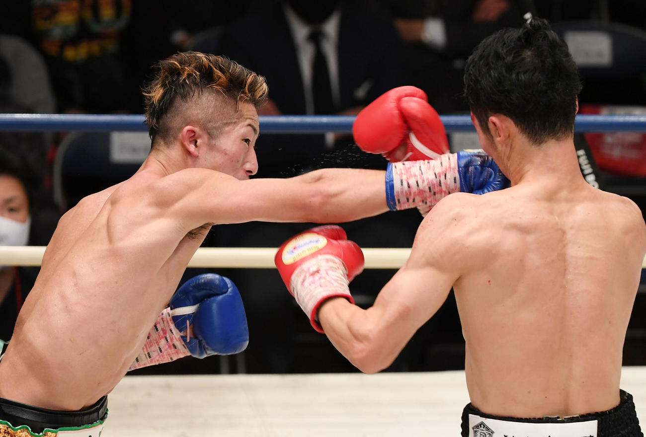 5回、右ストレートを放つ井上（撮影・横山健太）