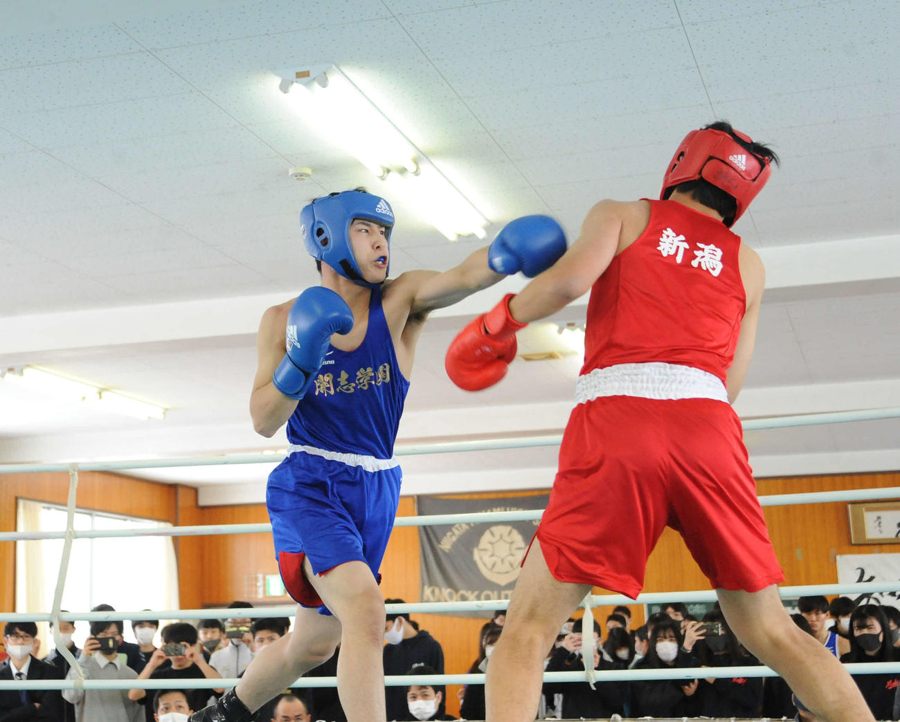 左ストレートをヒットさせる開志学園・増田（左）