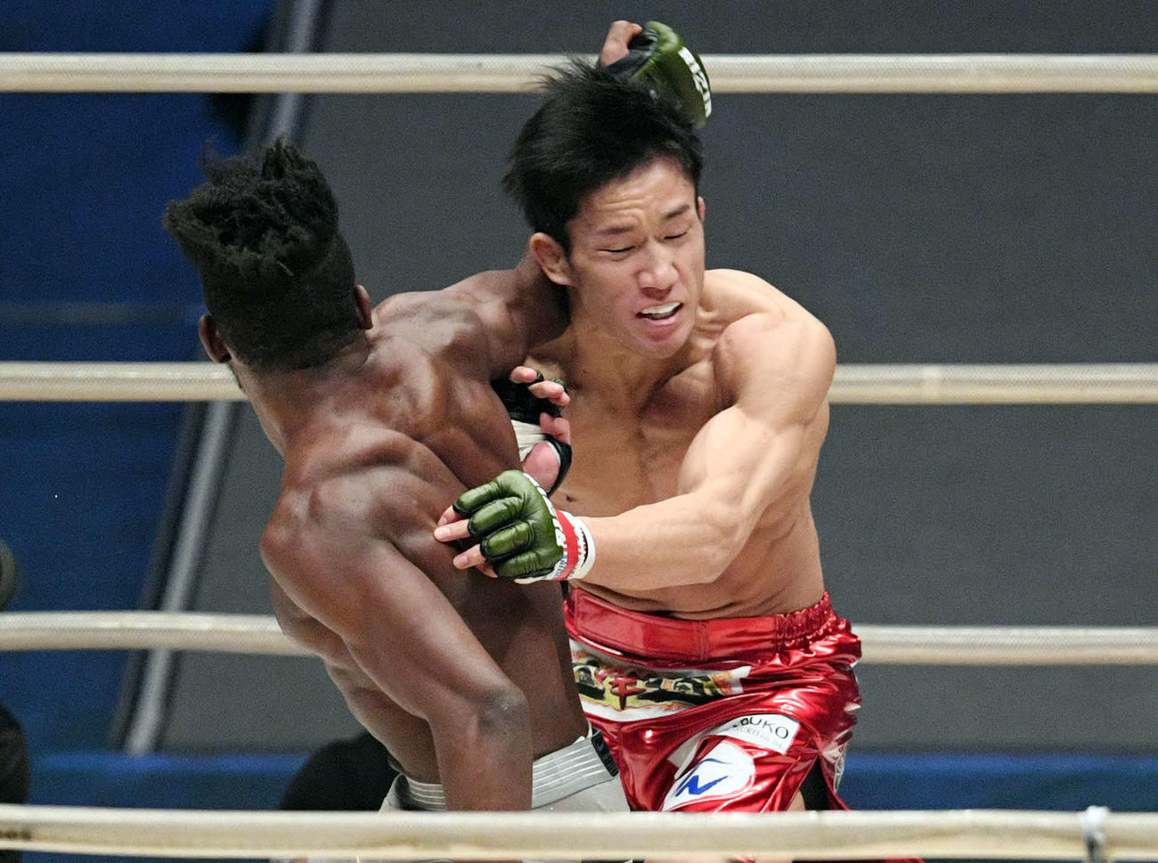 RIZIN20　マネル・ケイプの肘をくらう朝倉海（2019年12月31日撮影）
