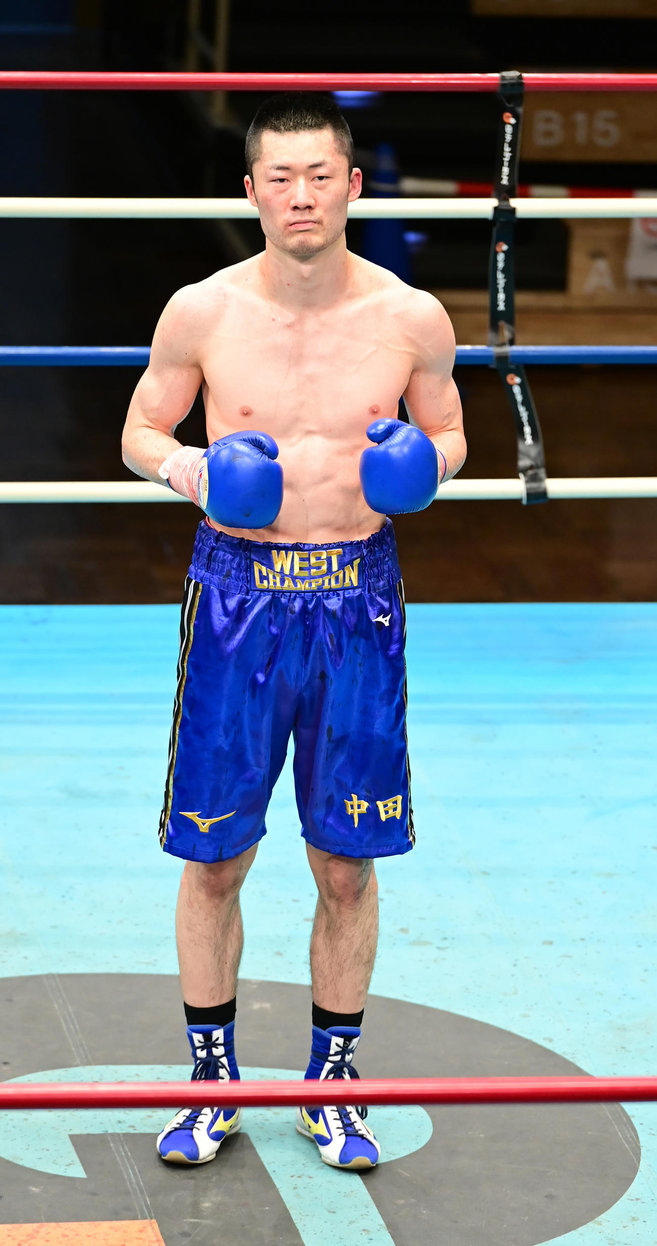 プロボクシング全日本新人王決勝戦のミドル級を制した中田（撮影・小沢裕）