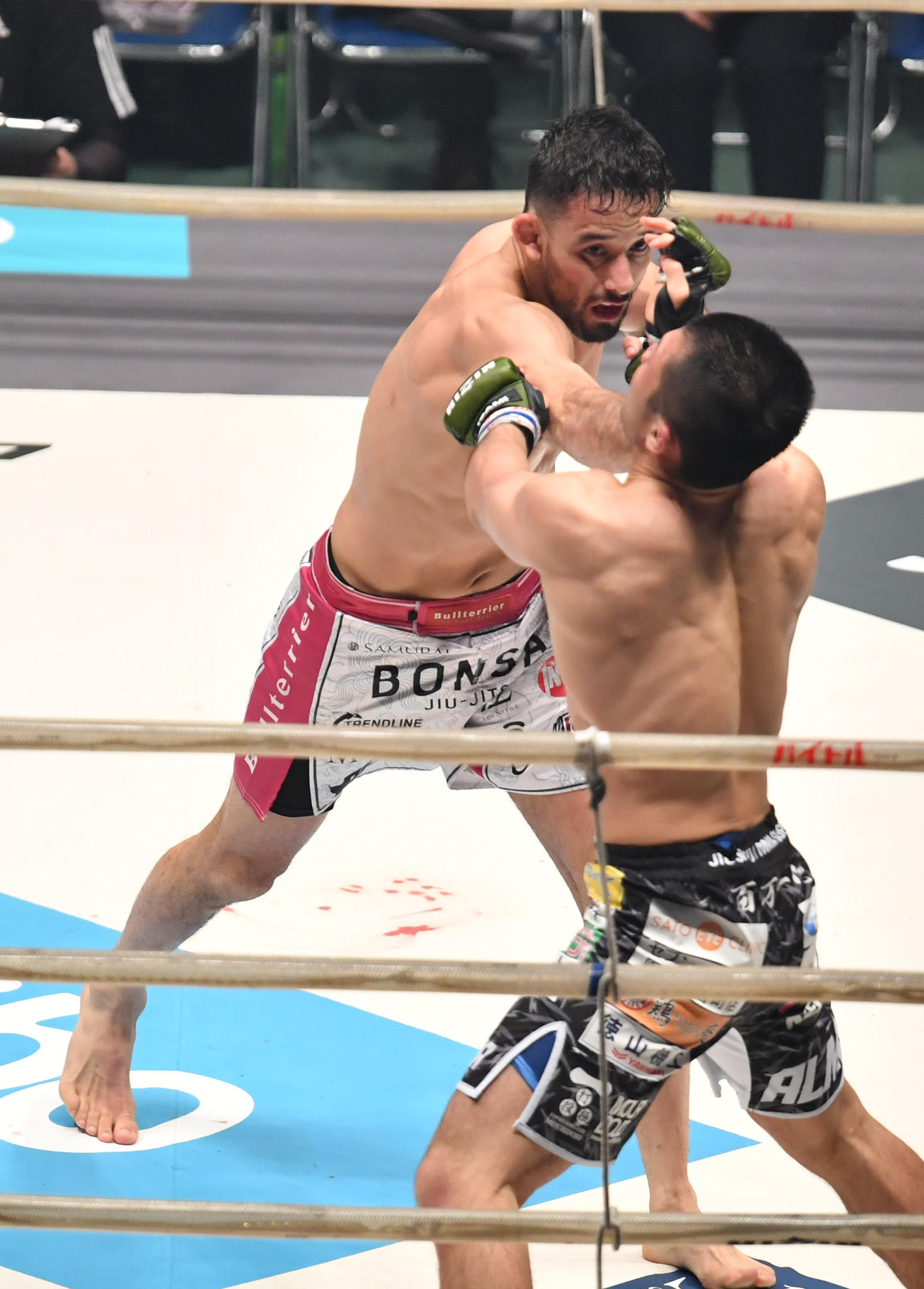 2回、クレベル・コイケ（上）は摩嶋一整にパンチを放つ（撮影・柴田隆二）