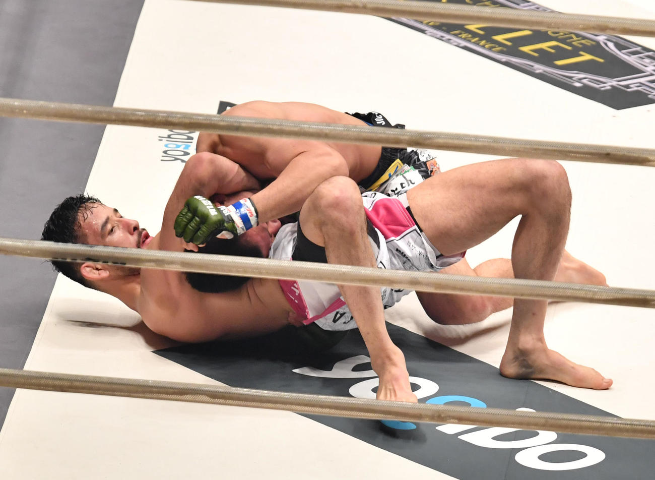 2回、クレベル・コイケ（上）は摩嶋一整を寝技でKOした（撮影・柴田隆二）