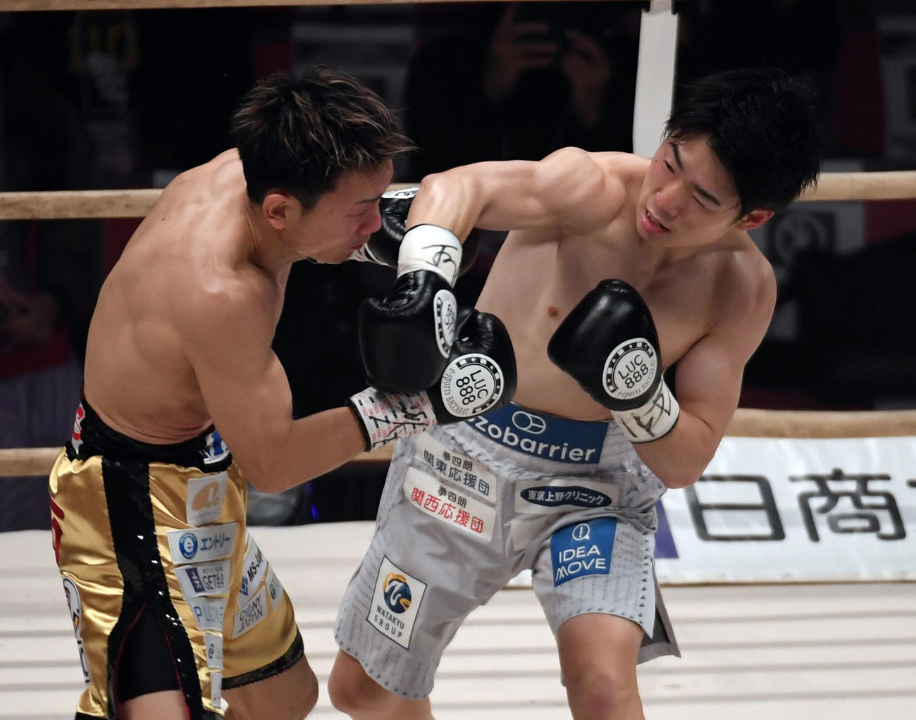 2回、久田哲也（左）に右ストレートでダウンを奪う寺地拳四朗（撮影・和賀正仁）