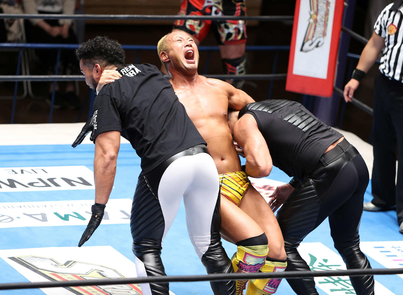 タンガ・ロア（左）とタマ・トンガを投げ飛ばす本間朋晃（中央）（撮影・鈴木正人）