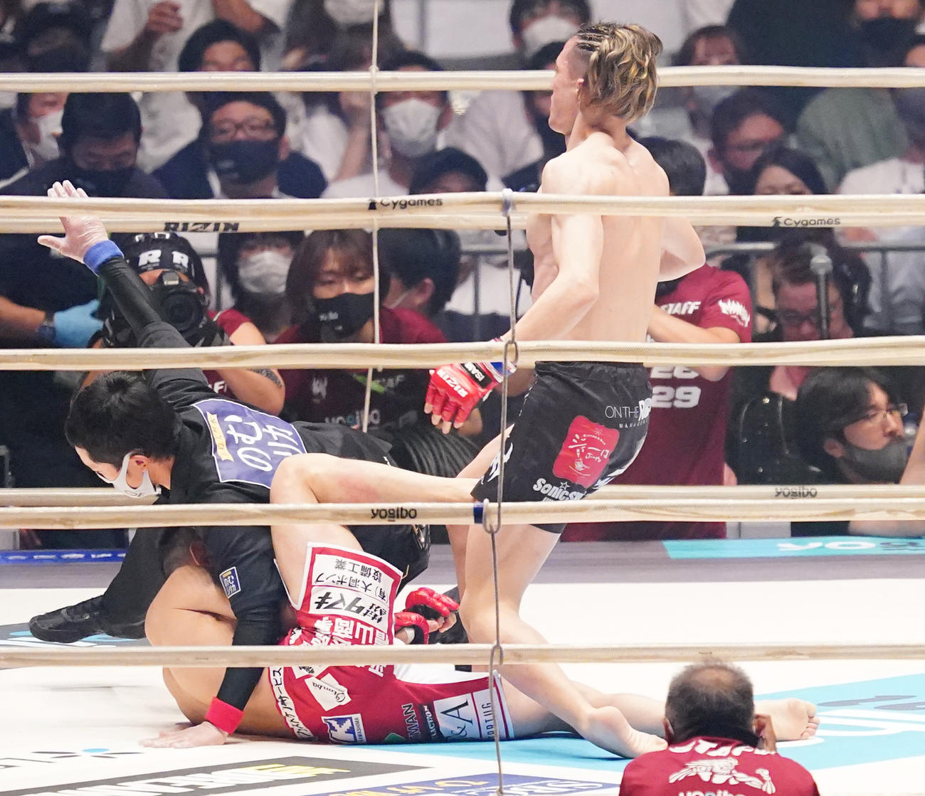 石渡（左）をTKOで勝利する井上（撮影・菅敏）