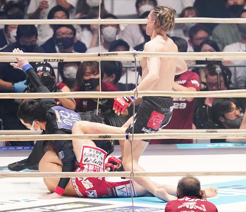 石渡（左）をTKOで勝利する井上（撮影・菅敏）