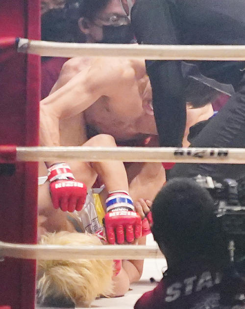 渡部（下）にパンチの連打を浴びせKOする朝倉海（撮影・菅敏）