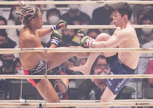 弥益ドミネーター聡志（右）にキックを見舞う“ブラックパンサー”ベイノア（撮影・菅敏）