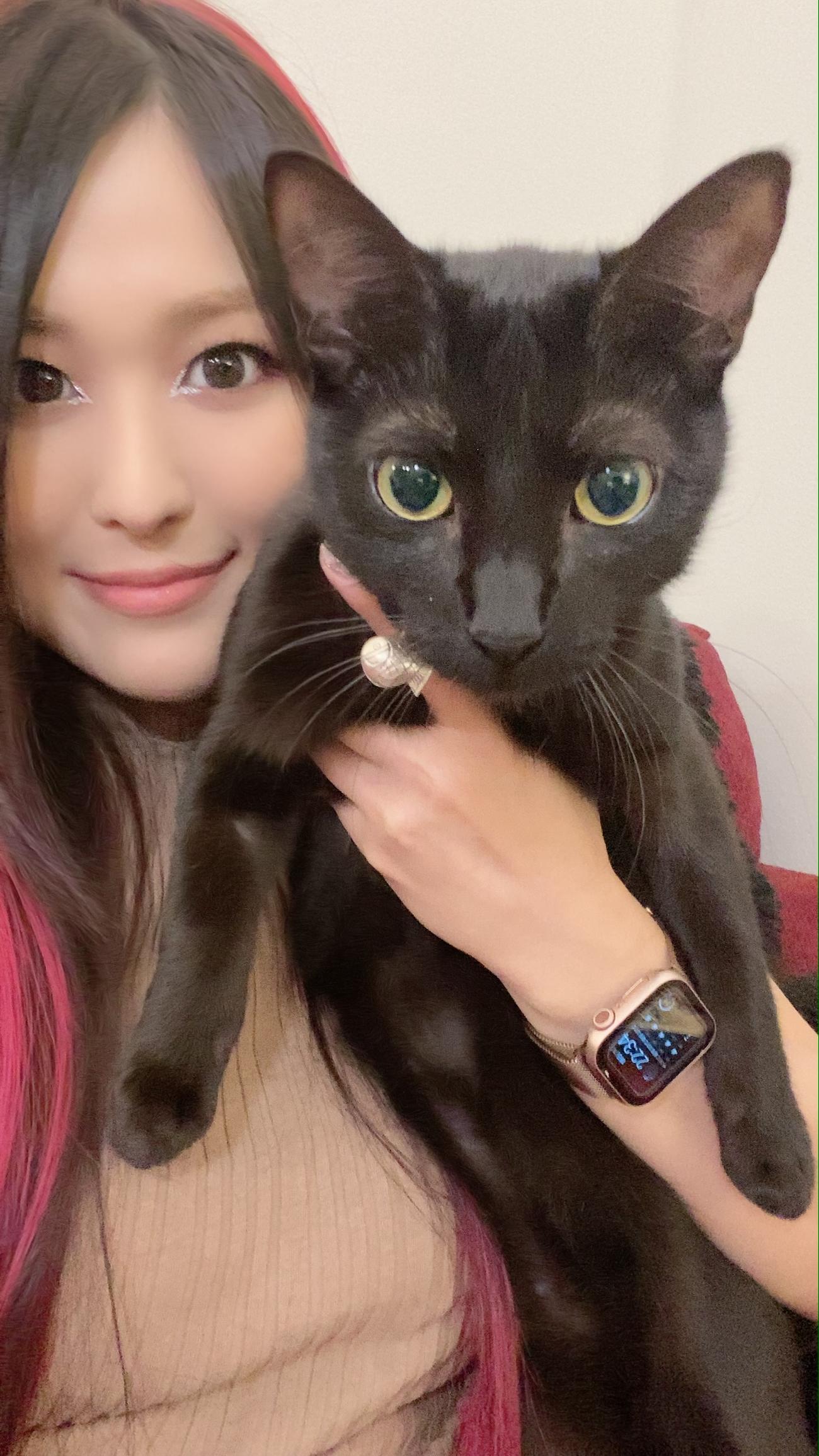 愛猫ペタと米フロリダ州で生活しているNXT女子タッグ王者紫雷イオ（C）2021 WWE, Inc. All Rights Reserved.
