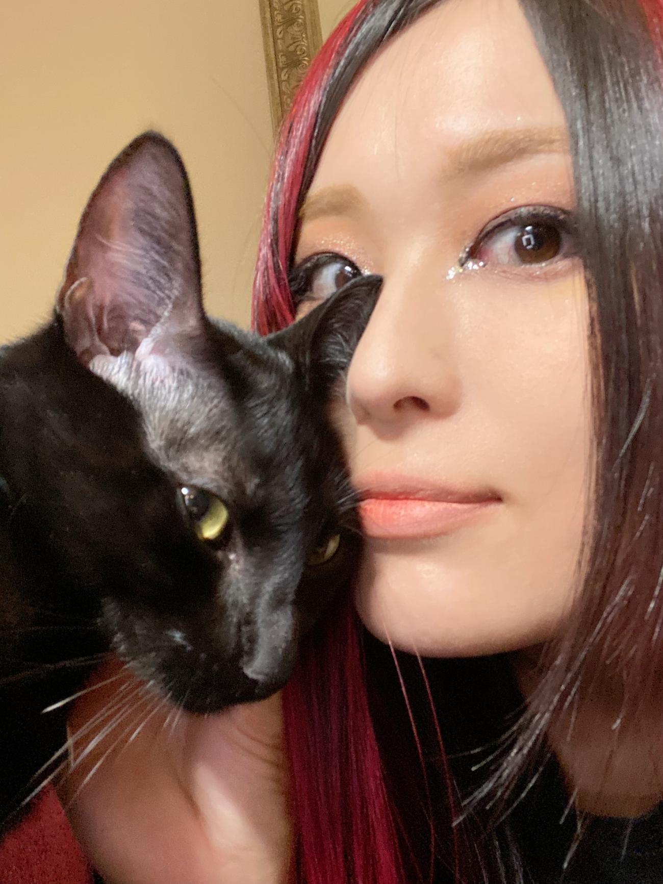 20年2月から迎えた愛猫ペタに支えられているというNXT女子タッグ王者紫雷イオ（C）2021 WWE, Inc. All Rights Reserved.