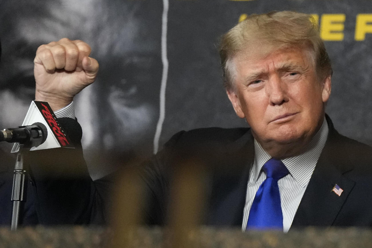 試合を観戦するトランプ氏（AP）