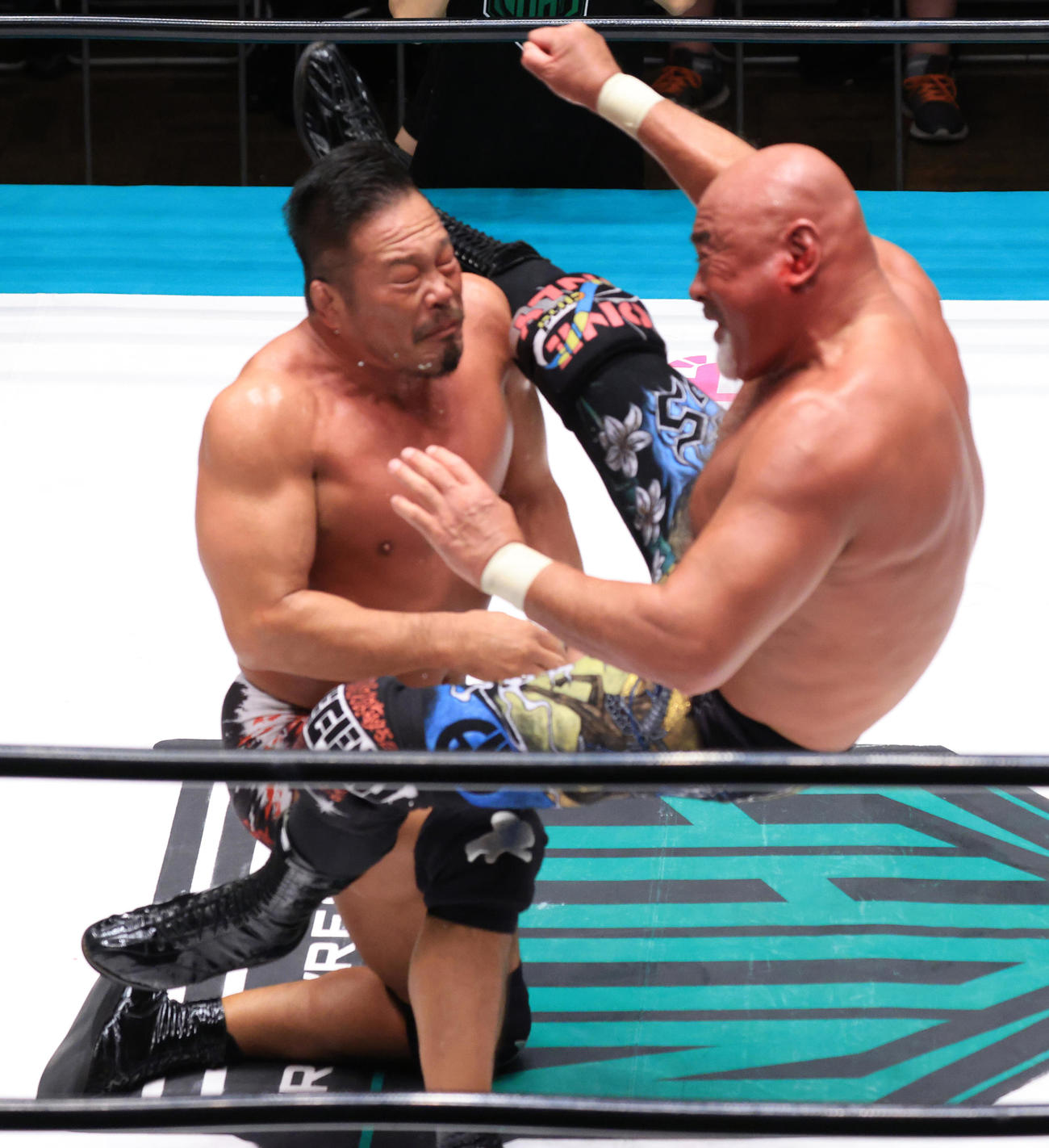 杉浦貴（左）にシャイニングウイザードを浴びせる武藤敬司（撮影・中島郁夫）