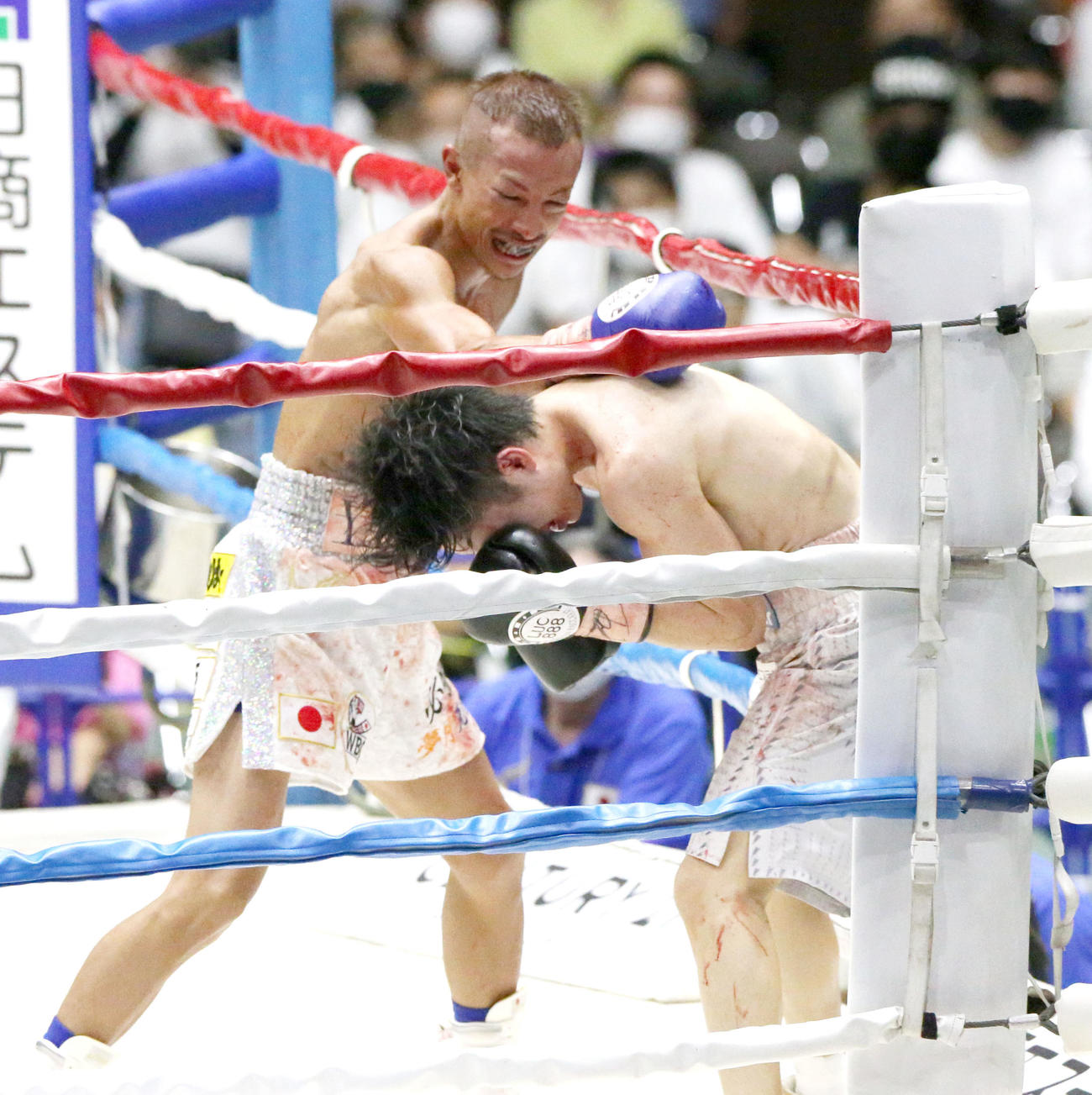 WBC世界ライトフライ級戦　寺地拳四朗対矢吹正道　10回、寺地（手前）を攻める矢吹（撮影・上山淳一）