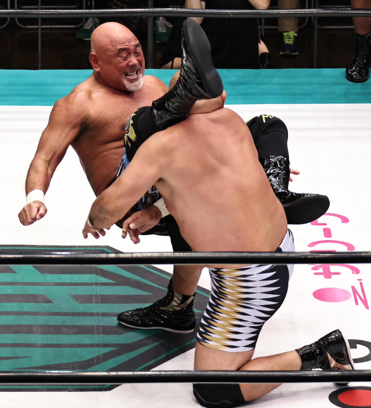藤田和之（右）にシャイニングウイザードを決める武藤敬司（撮影・中島郁夫）