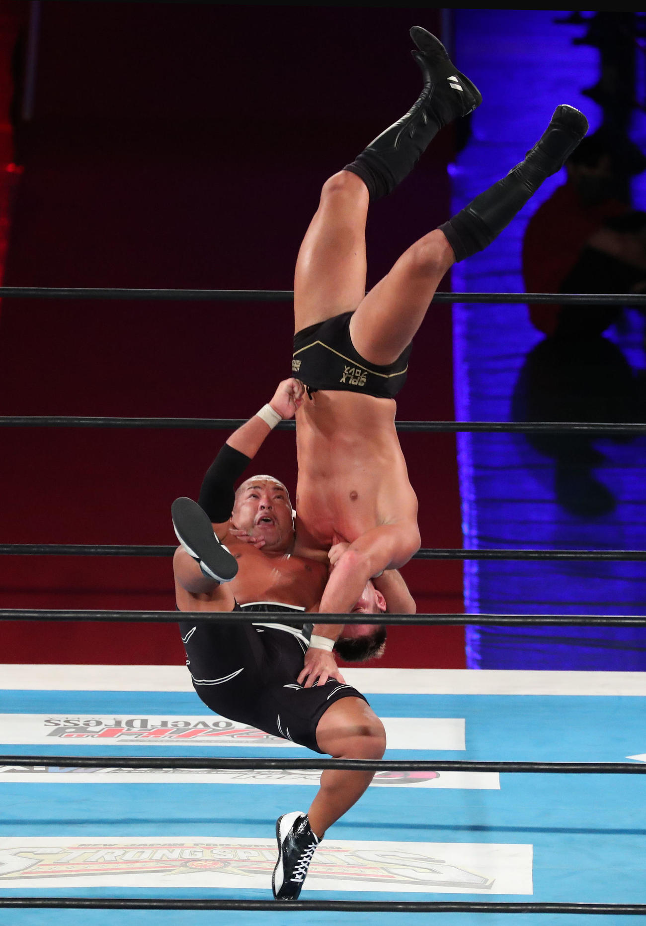 ザック・セイバーJr.に垂直落下式ブレーンバスターを決める石井智宏（撮影・白石智彦）