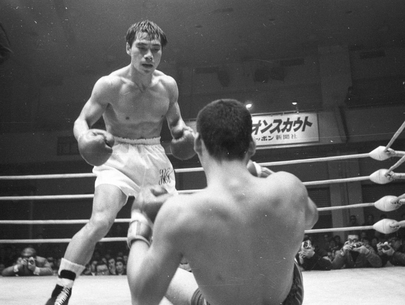 日本ジュニアミドル級選手権　痛烈な右ストレートで岡部をKOし、初防衛した輪島公一（のち功一）（1969年12月18日撮影）