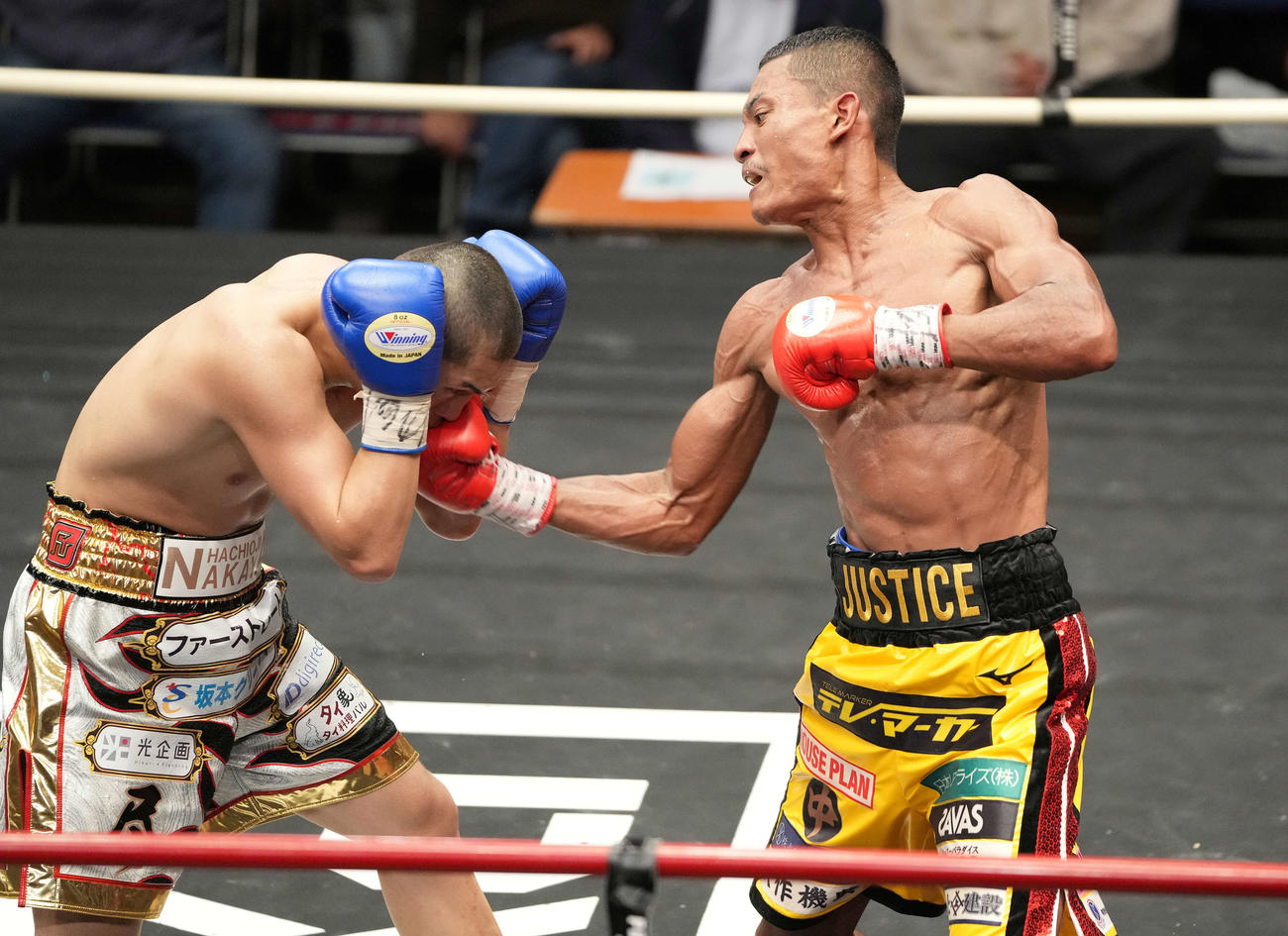 11回、佐々木（左）からダウンを奪いTKO勝ちした平岡（撮影・鈴木みどり）