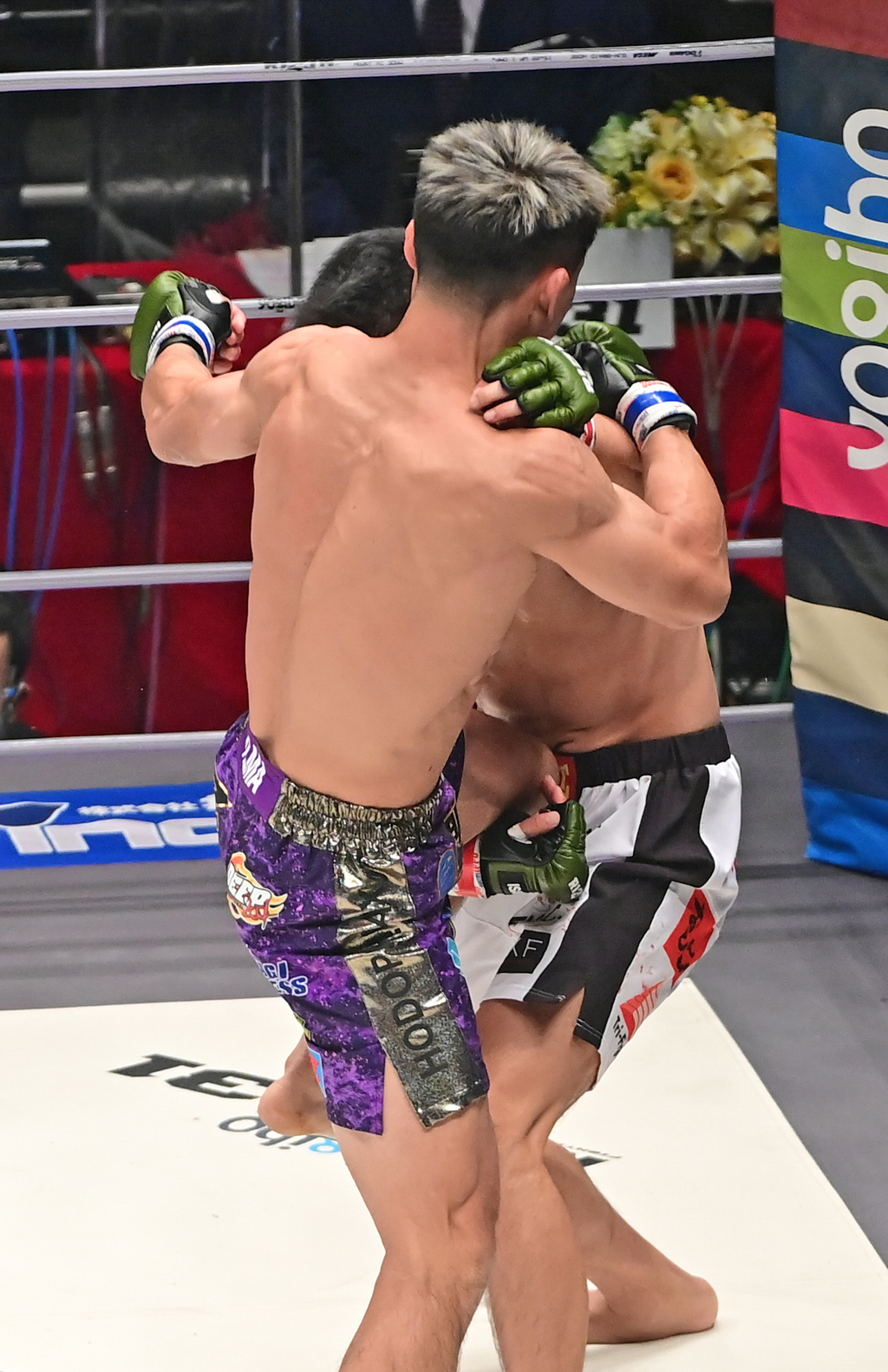 2回、牛久（左）のヒザ蹴りが斎藤の顔面をとらえる（撮影・小沢裕）