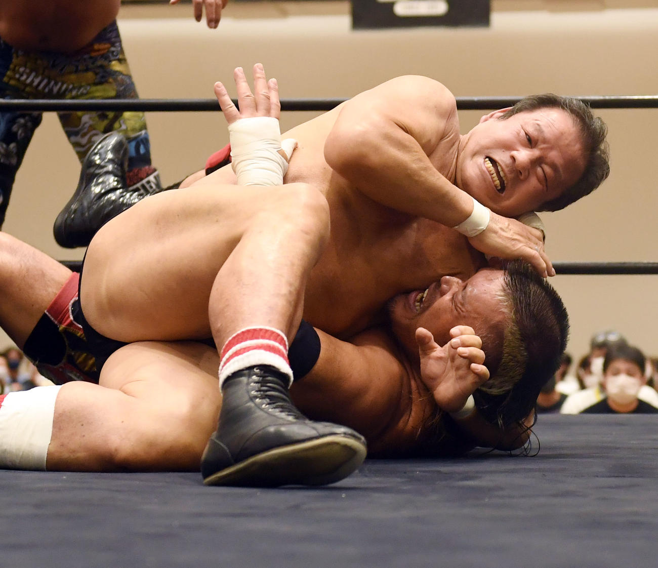 3人タッグ戦で天山を攻め立てる藤波（撮影・和賀正仁）