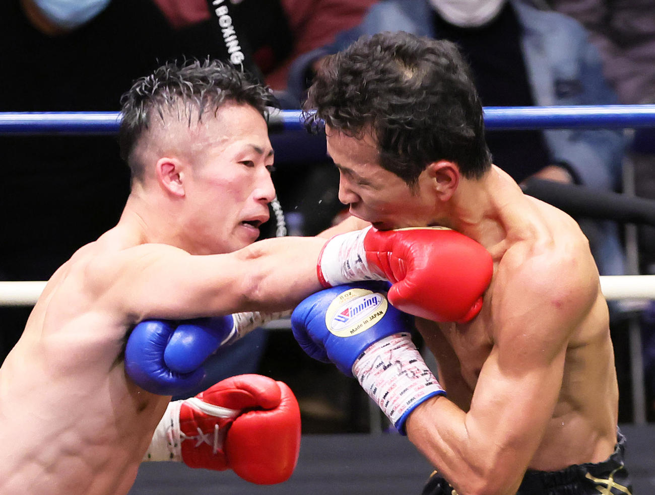 12回、激しく打ち合う井上（左）と和気（撮影・足立雅史）
