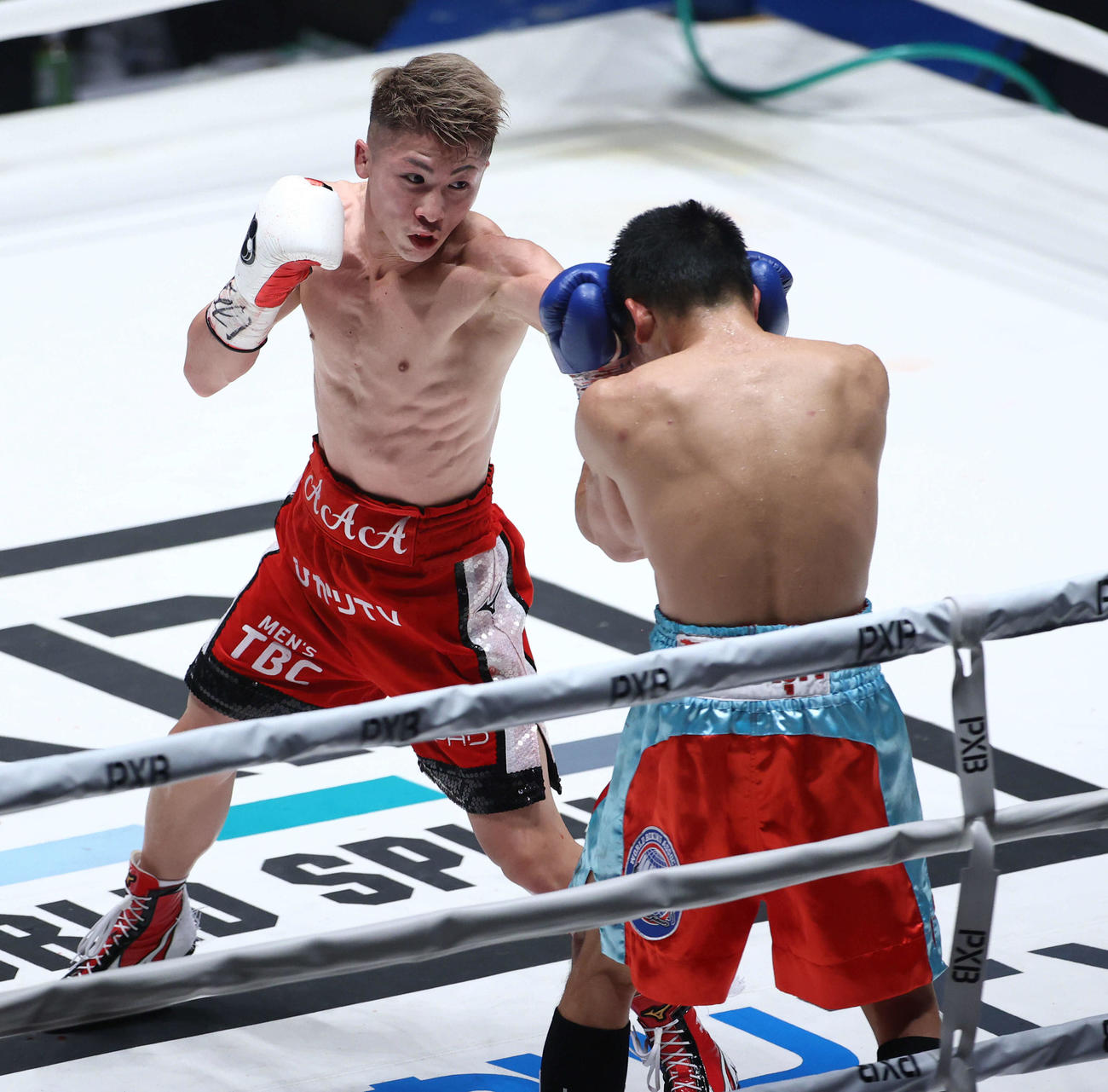 5回、井上（左）はアラン・ディパエンを攻める（撮影・河田真司）