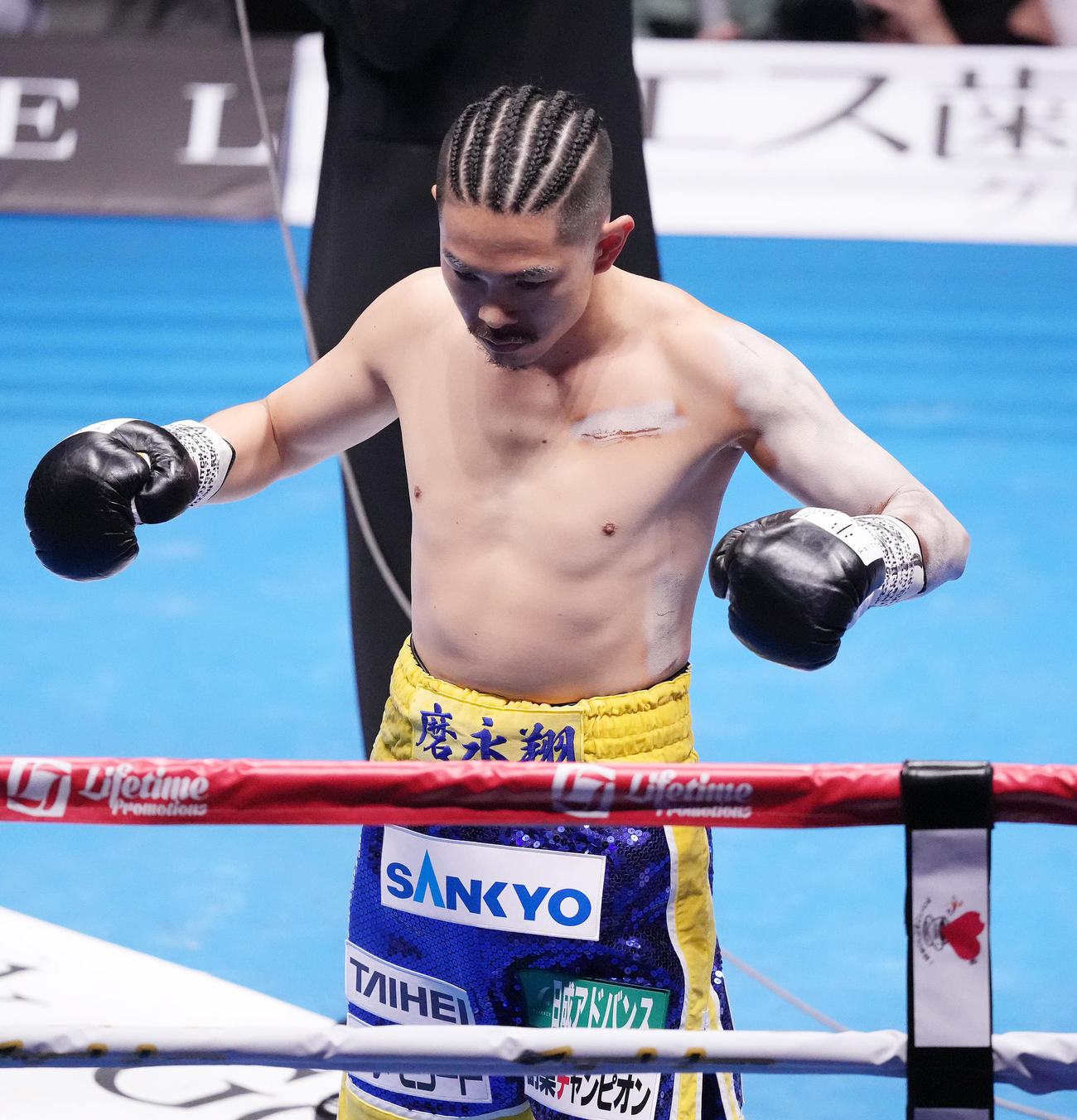 試合に臨む井岡（撮影・鈴木みどり）