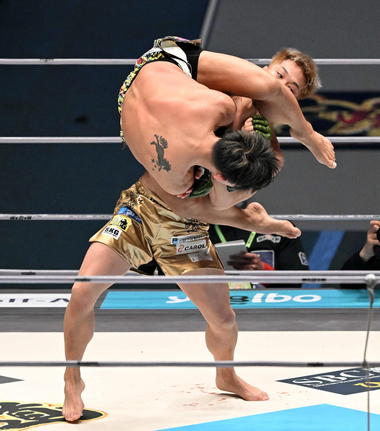 曽根（手前）を投げる太田（撮影・滝沢徹郎）