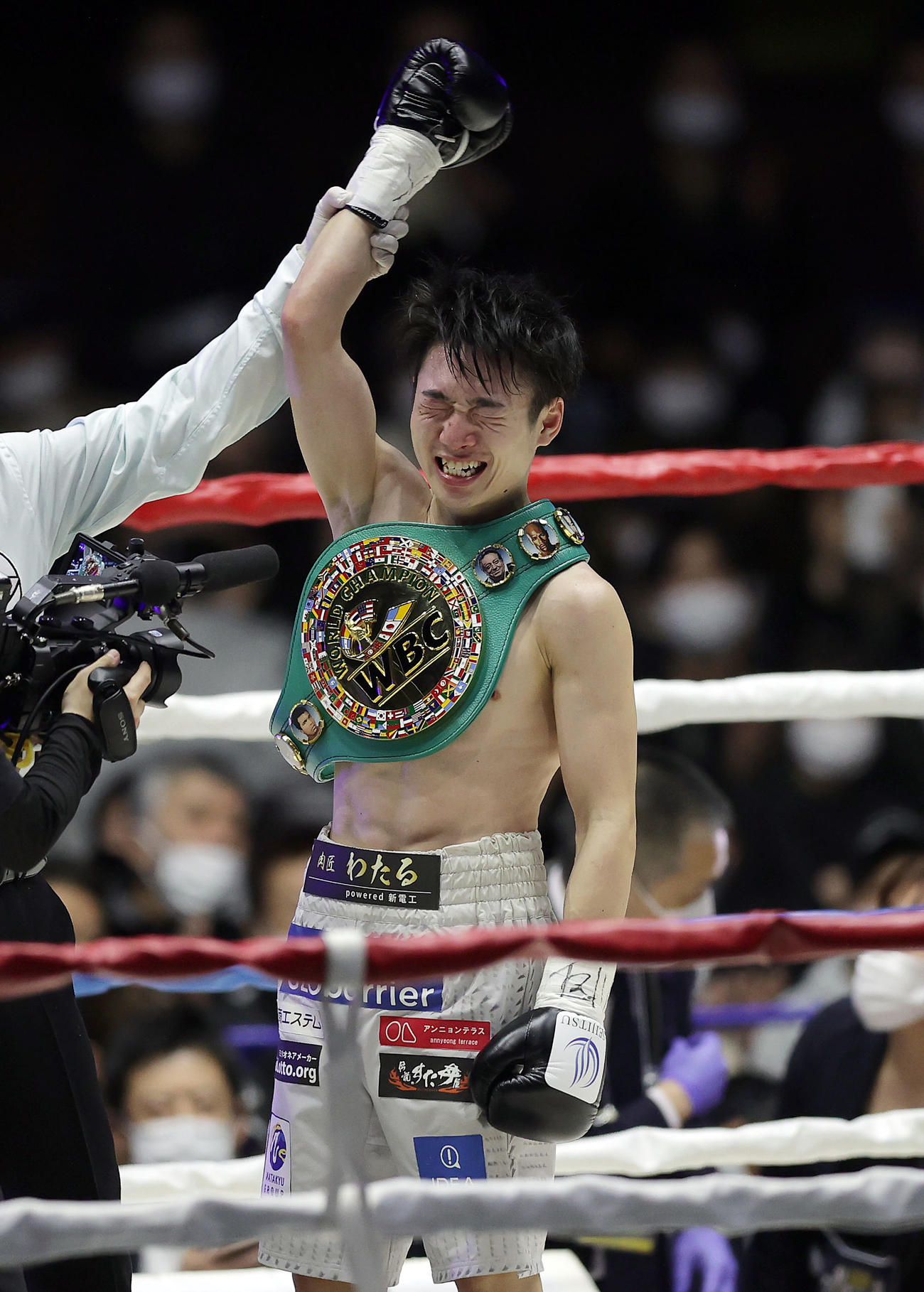 矢吹にKO勝ちを果たし、チャンピオンベルトを肩に掛けられる寺地（撮影・前田充）