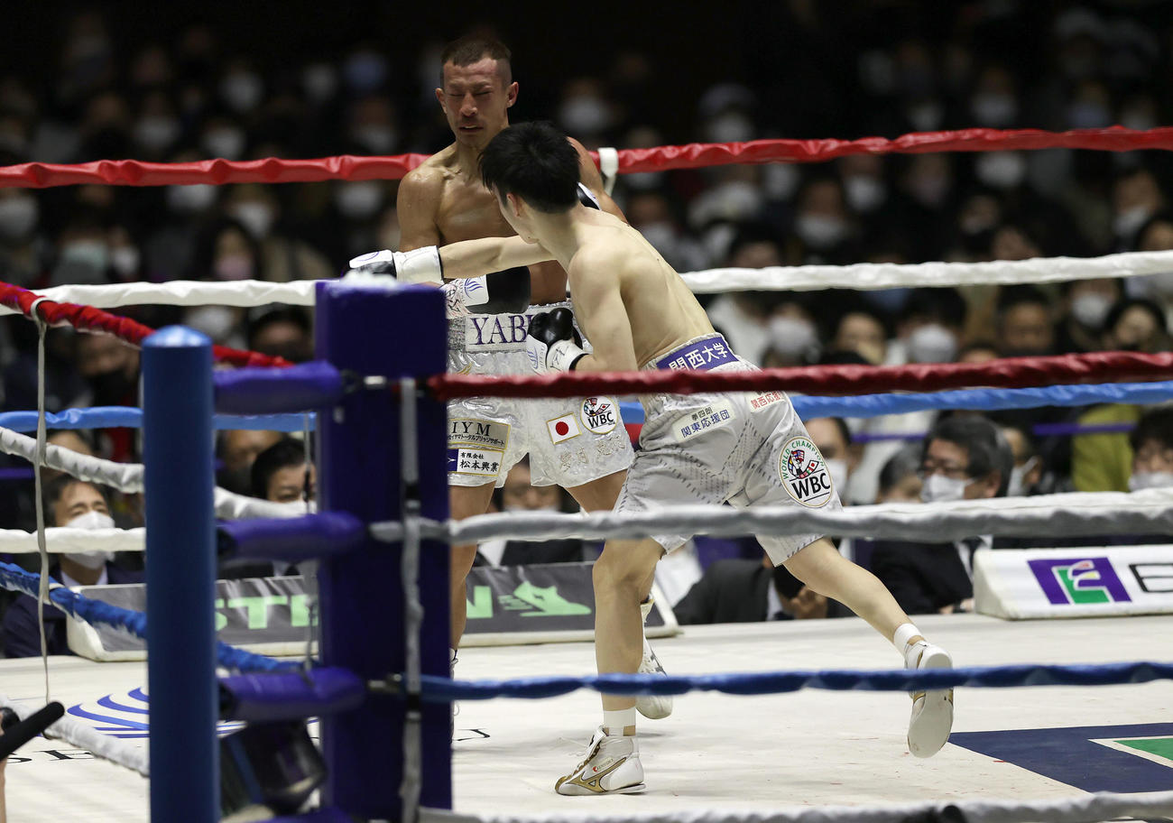 3回、矢吹（奥）に強烈な右フックを見舞いダウンを奪う寺地（撮影・前田充）
