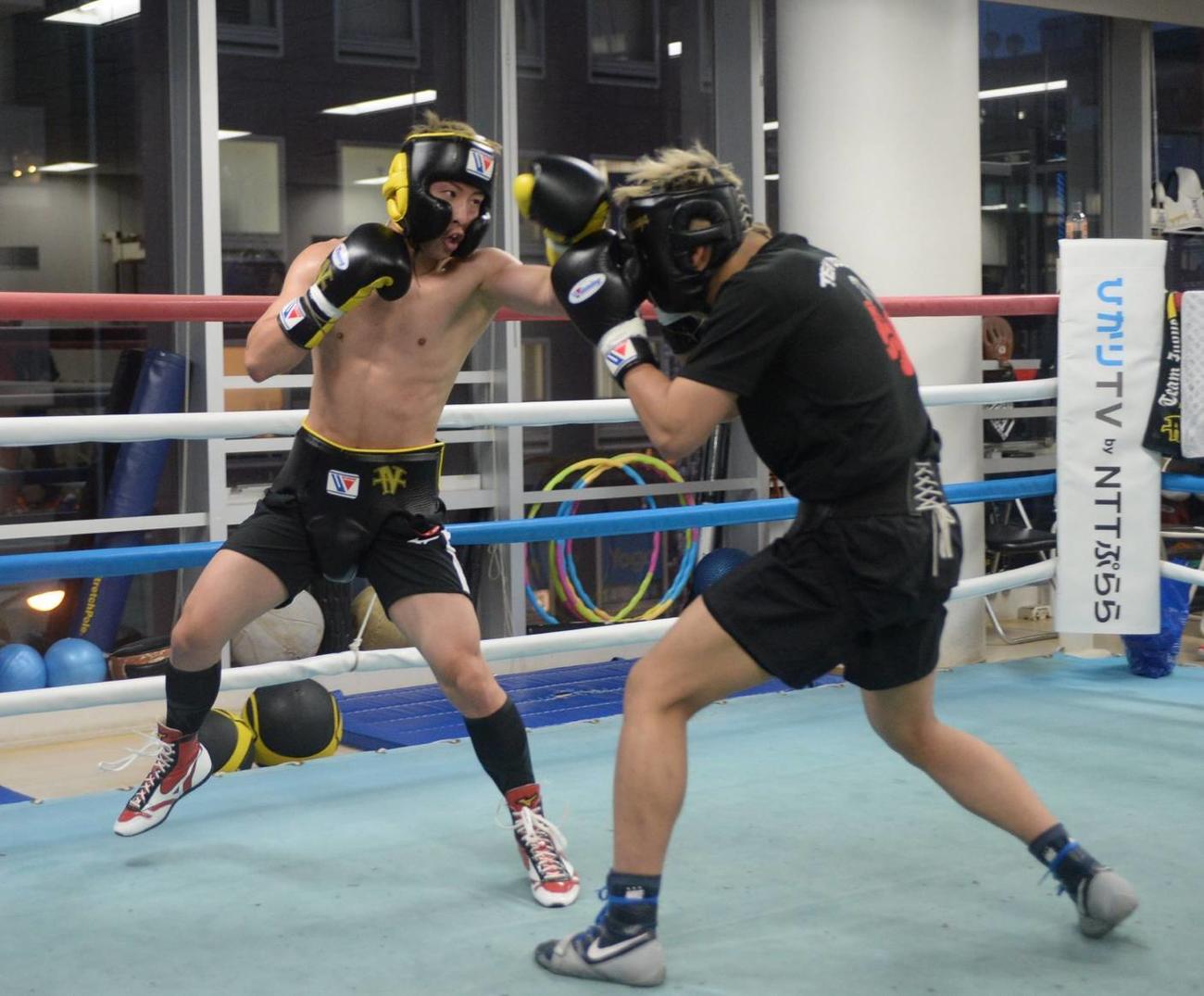 日本スーパーバンタム級ユース王者津川（右）と打ち合うWBAスーパー、IBF世界バンタム級王者井上（大橋ジム提供）