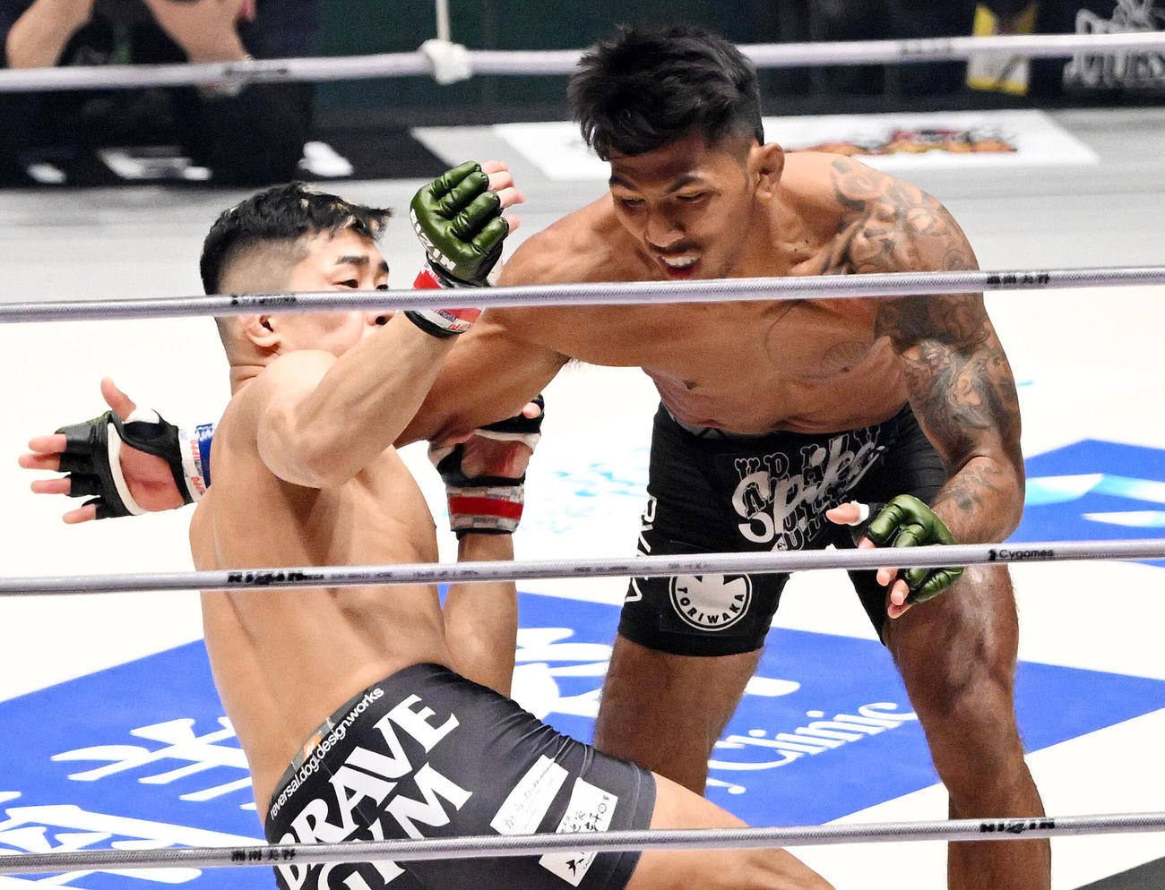 芦田（左）をテイクダウンするカイル・アグォン（撮影・滝沢徹郎）