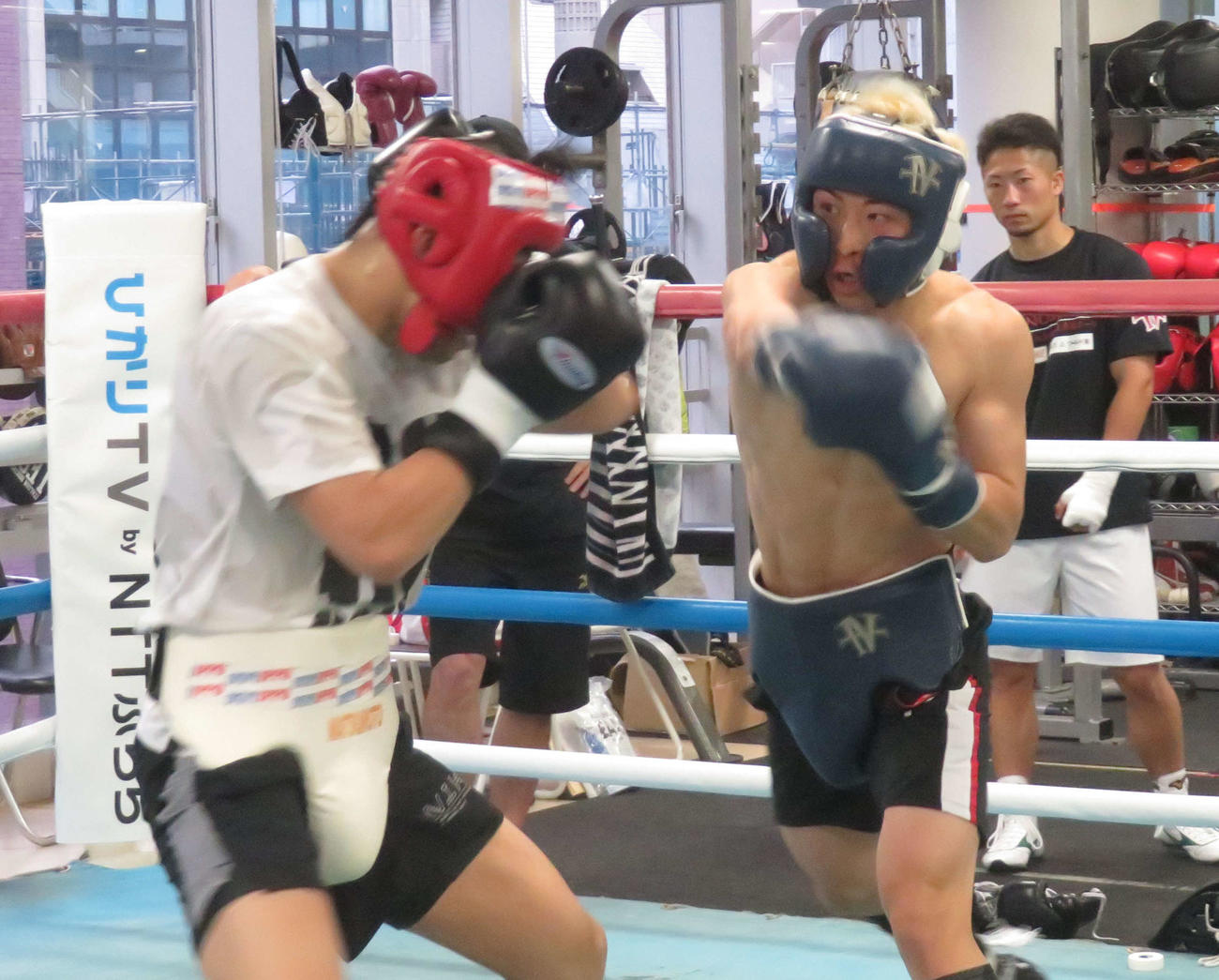 松本圭佑（左）とのスパーリングを消化したWBAスーパー、IBF世界バンタム級王者井上尚弥