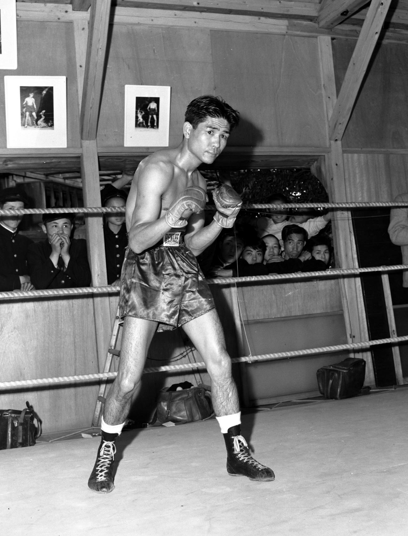 55年5月、白井義男はパスカル・ペレス戦前の公開スパーリングでファイティングポーズ