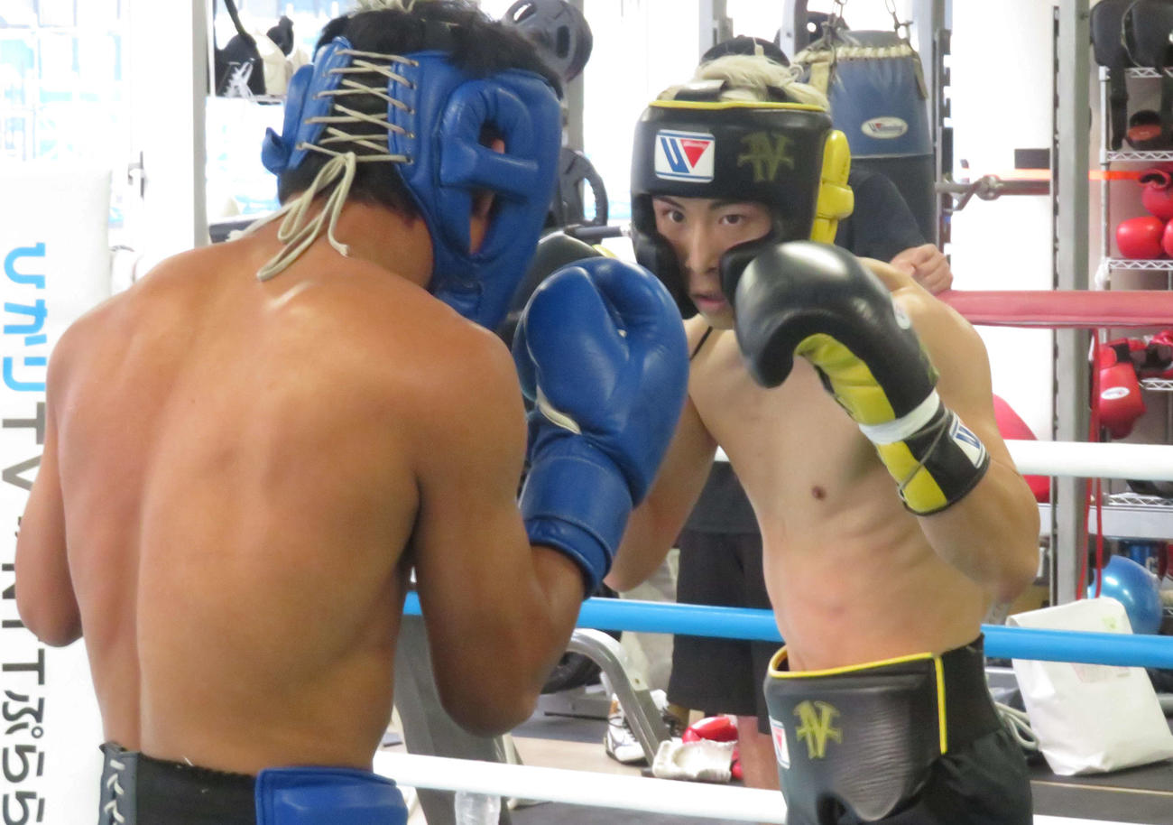 世界ランカーのKJカタラジャ（左）とのスパーリングで調整したWBAスーパー、IBF世界バンタム級王者井上尚