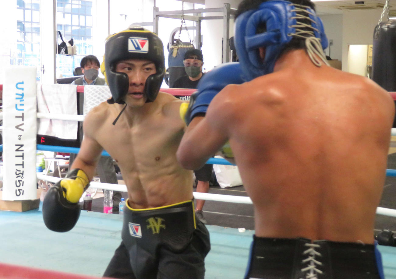 WBO世界スーパーフライ級10位KJカタラジャ（右）と4回のスパーリングを消化したWBAスーパー、IBF世界バンタム級王者井上尚弥