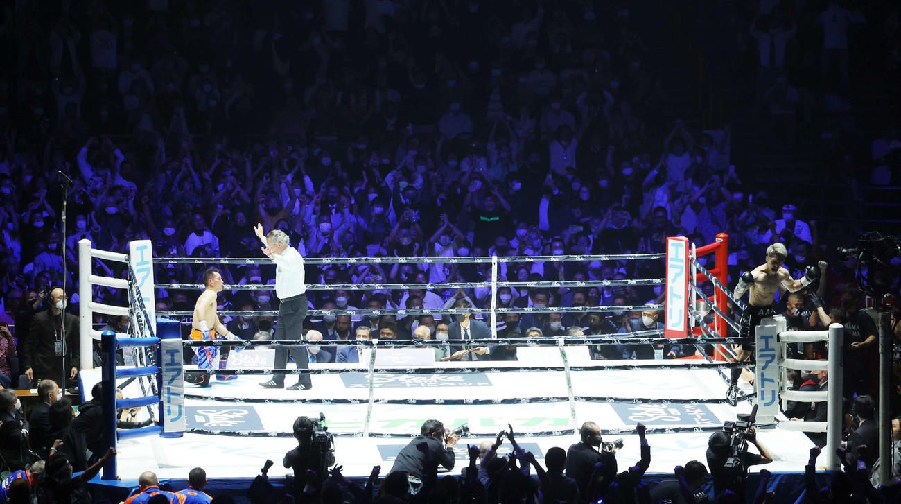 ドネア（左）にTKO勝利し、会場のファンに向かい雄たけびを上げる井上尚（右）（撮影・河田真司）