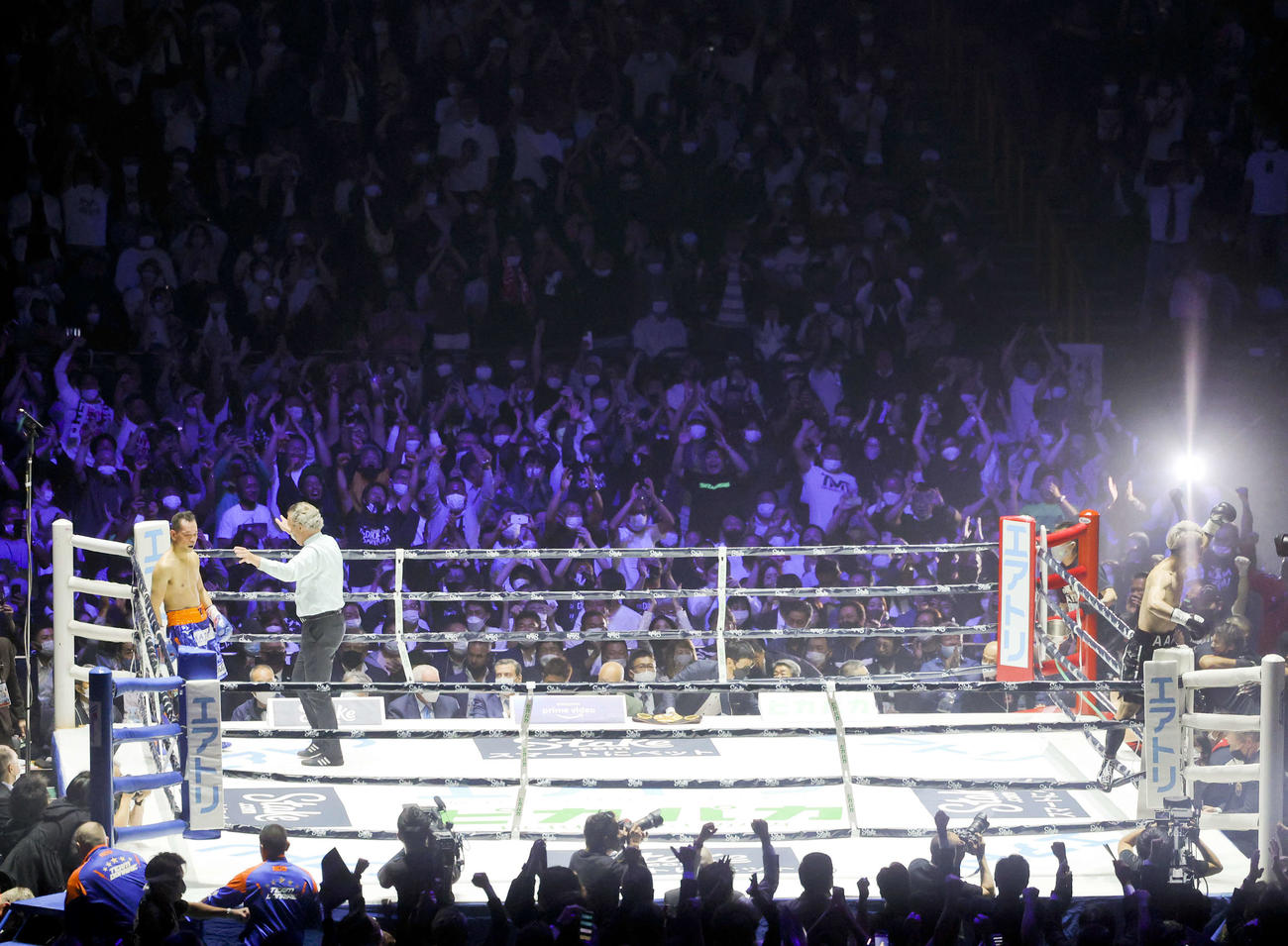 ドネア（左）にTKO勝利し、会場のファンに向かい雄たけびを上げる井上尚（右）（撮影・河田真司）