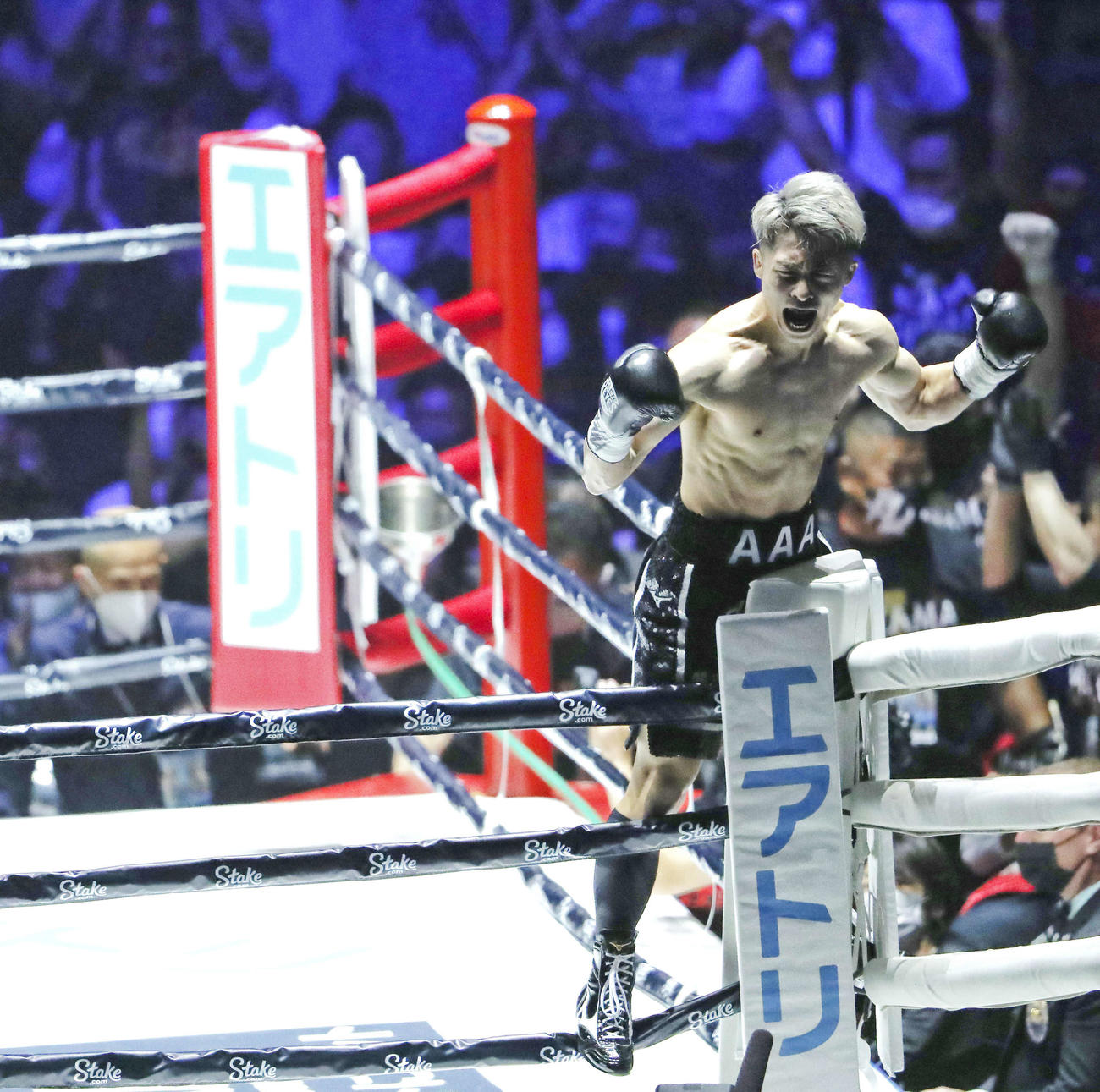ドネアにTKO勝利し、会場のファンに向かい雄たけびを上げる井上尚（撮影・河田真司）