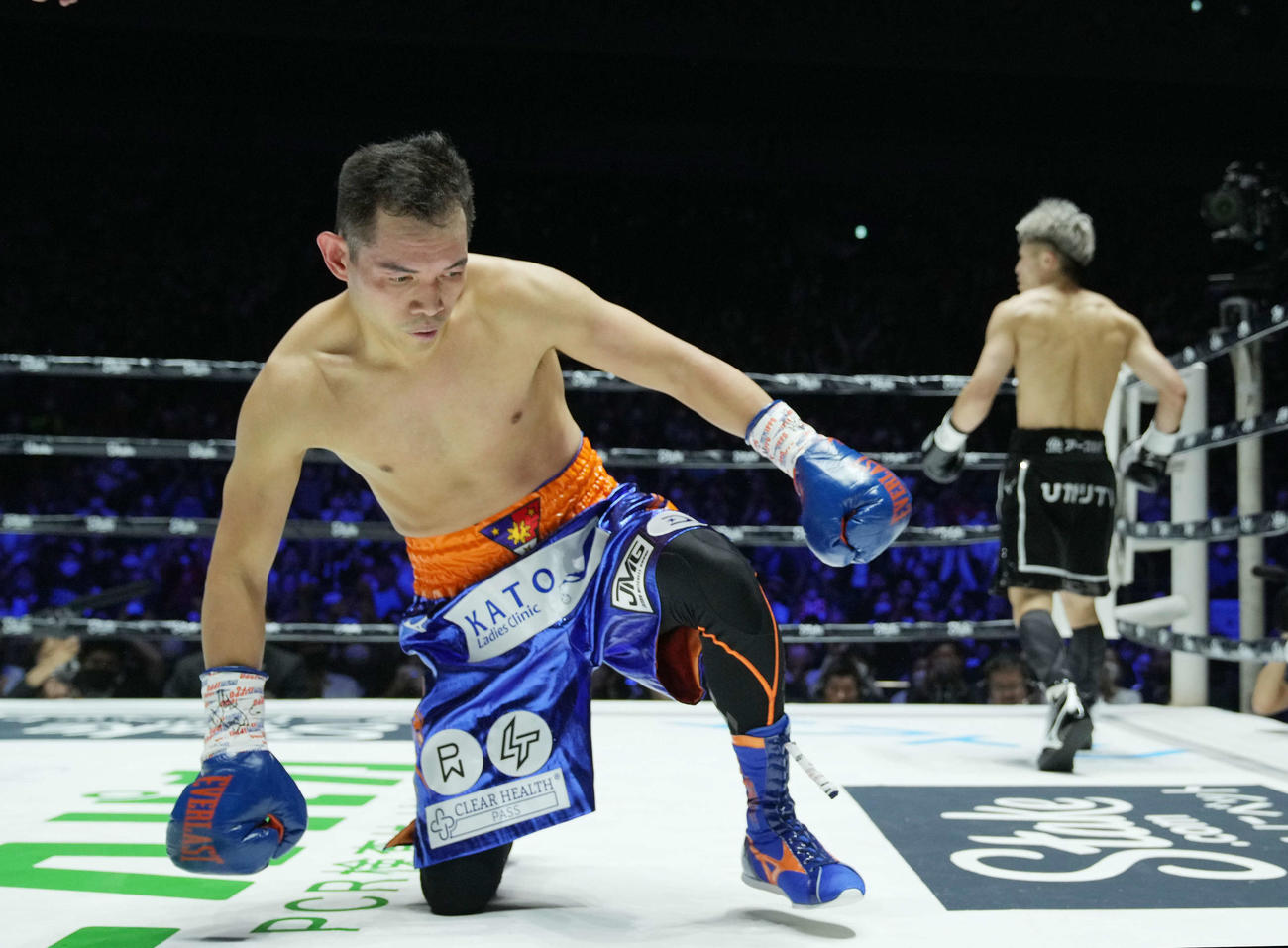 ボクシング　WBA、WBC、IBF世界バンタム級王座統一戦　1回、井上尚（右）にダウンを奪われるドネア（撮影・菅敏）