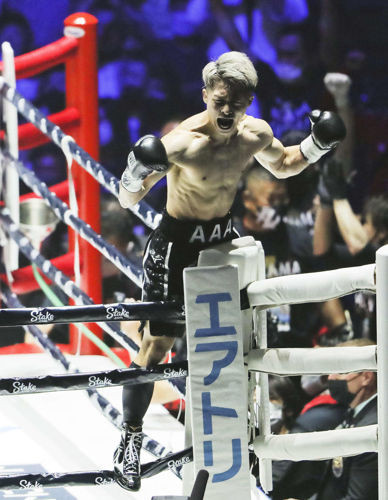 ドネアにTKO勝利し、会場のファンに向かい雄たけびを上げる井上尚（撮影・河田真司）